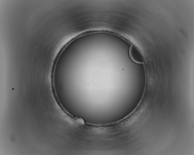 X0000112050943200908111347