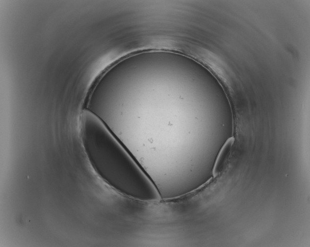 X0000112050944200908111347