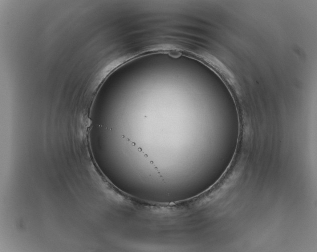 X0000112050945200908111347