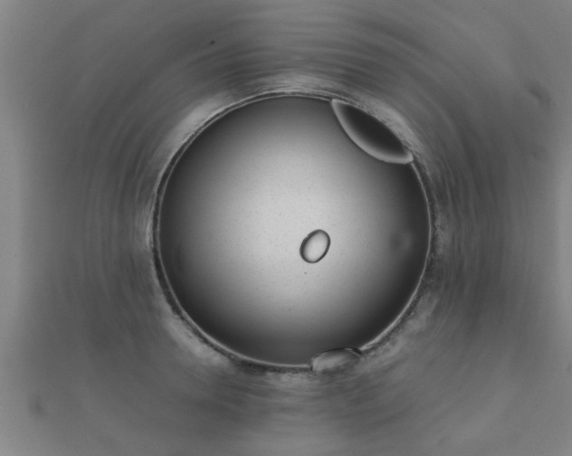 X0000112050946200908111347