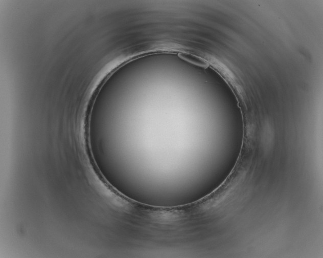 X0000112050947200908111347