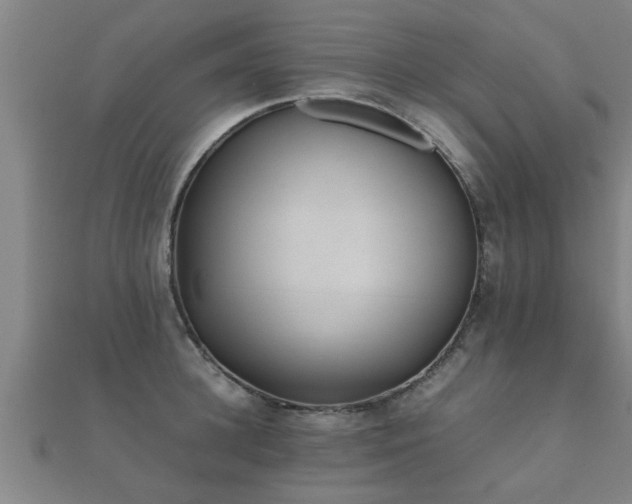 X0000112050948200908111347