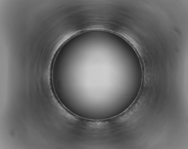 X0000112050949200908111347