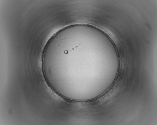 X0000112050950200908111347