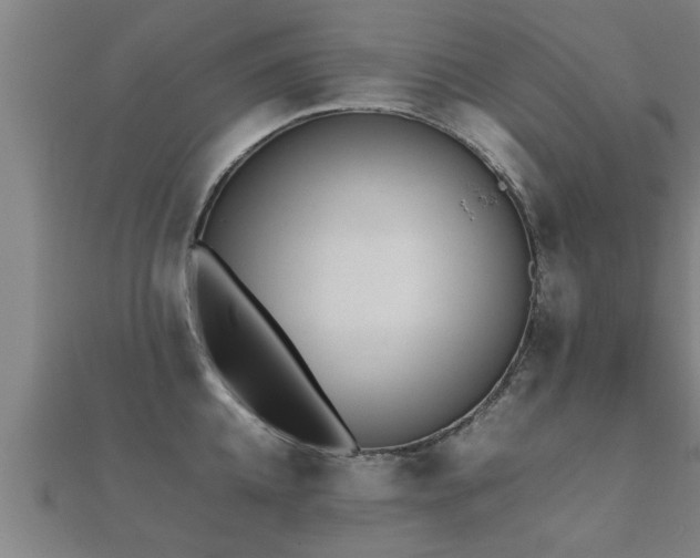 X0000112050952200908111347