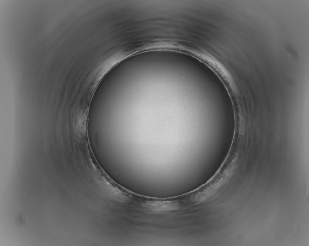 X0000112050953200908111347