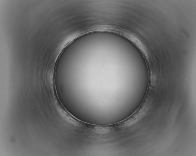 X0000112050954200908111347