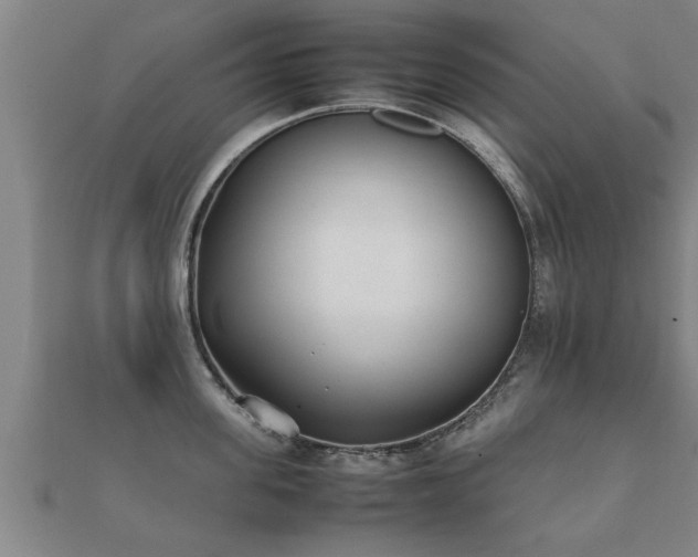 X0000112050955200908111347