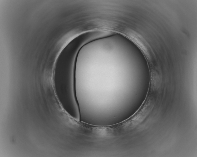 X0000112050956200908111347