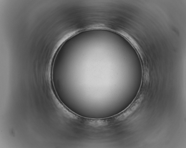 X0000112050957200908111347