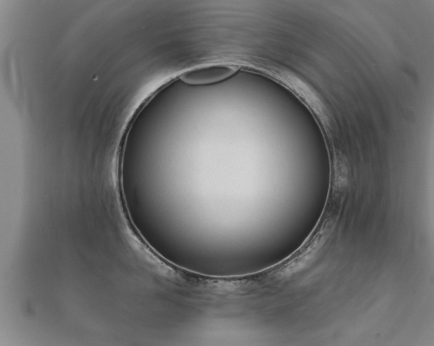 X0000112050958200908111347