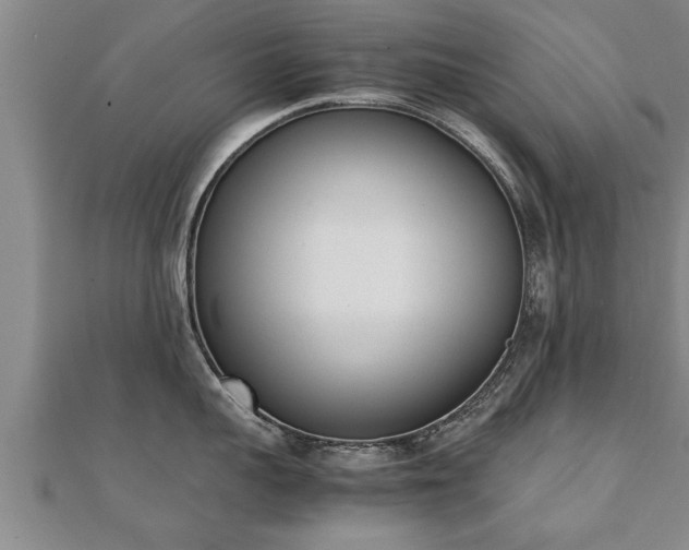 X0000112050959200908111347