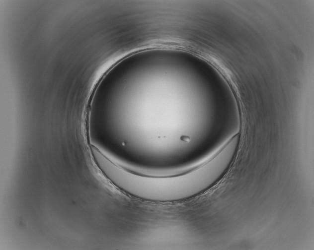 X0000112050960200908111347