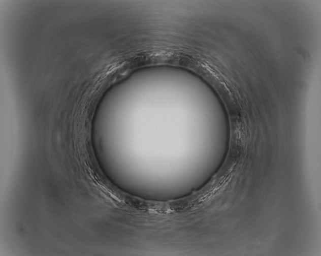 X0000112050961200908111346