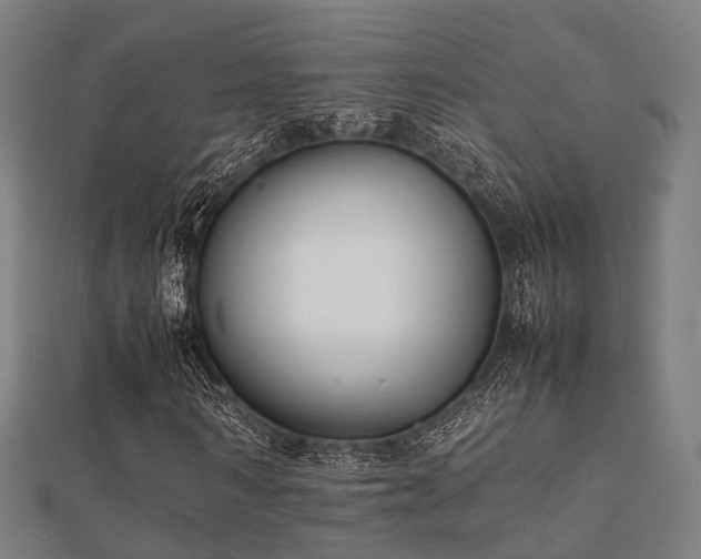 X0000112050962200908111346