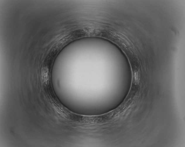 X0000112050963200908111346