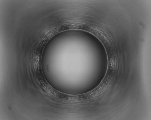 X0000112050964200908111346