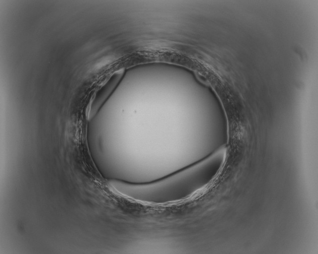 X0000112050965200908111346