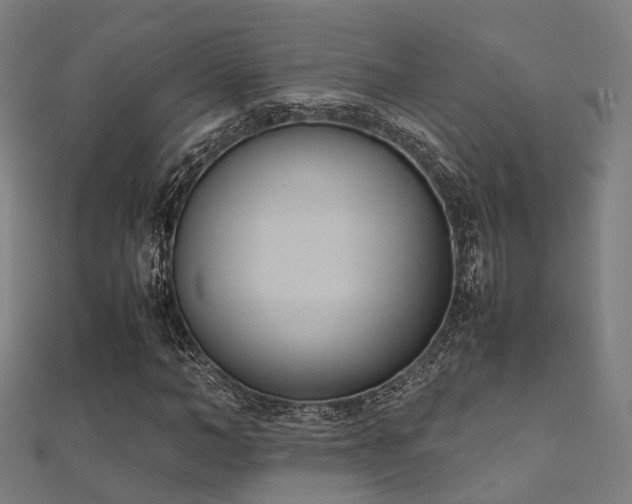 X0000112050966200908111346