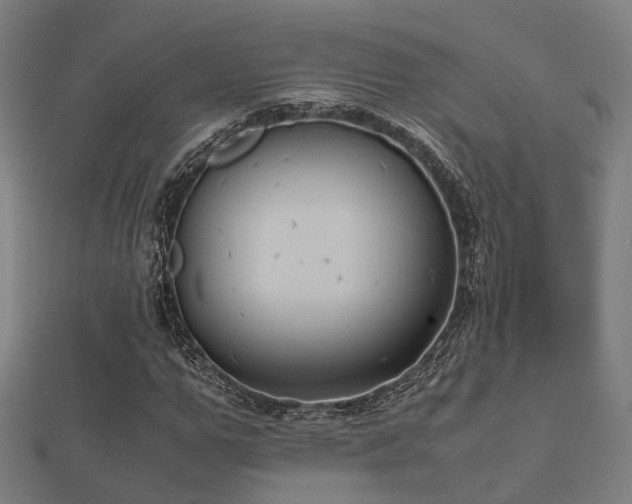 X0000112050967200908111346