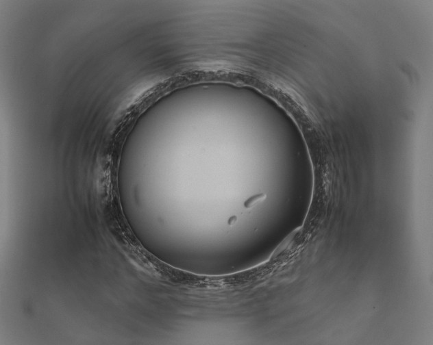 X0000112050968200908111346