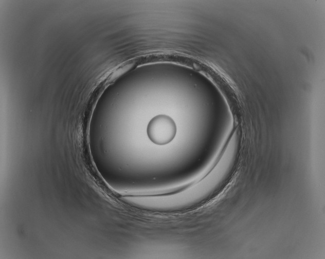 X0000112050969200908111346