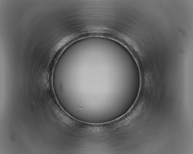 X0000112050970200908111346