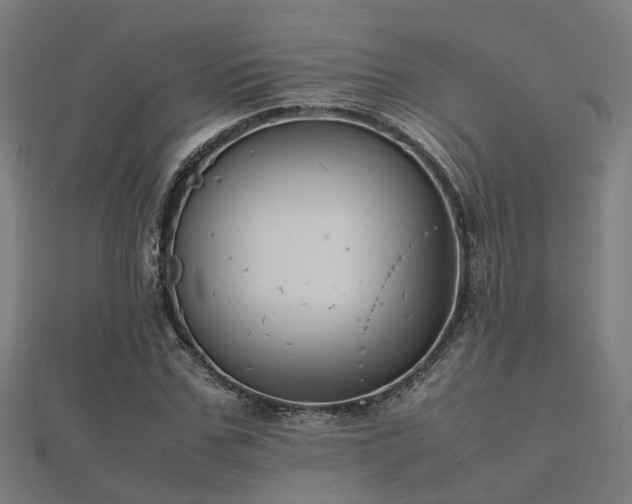 X0000112050971200908111346