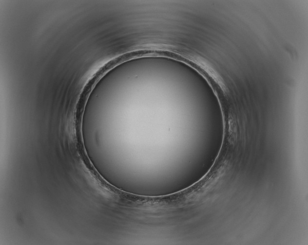 X0000112050972200908111346