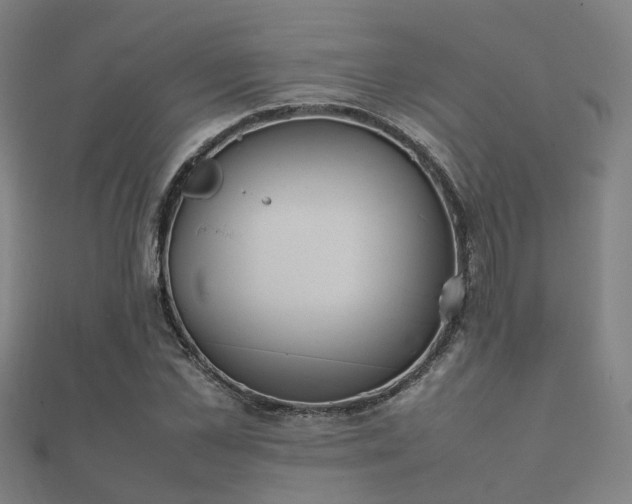 X0000112050973200908111346