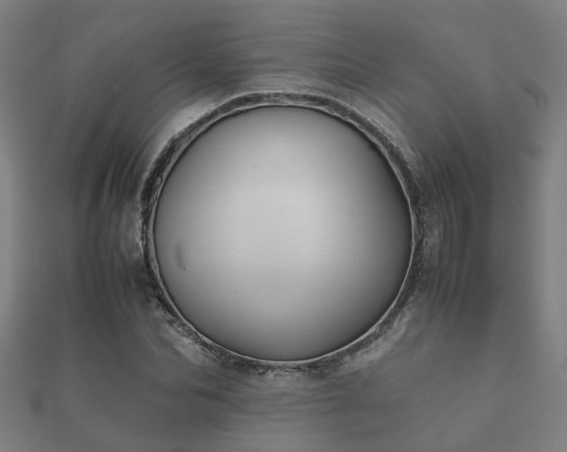 X0000112050974200908111346