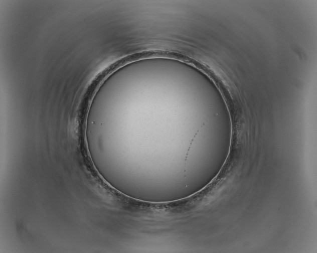 X0000112050975200908111346