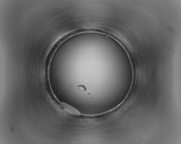 X0000112050976200908111346