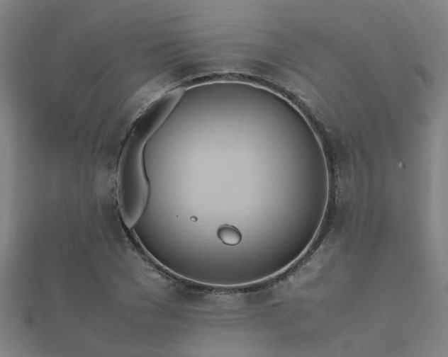 X0000112050977200908111346