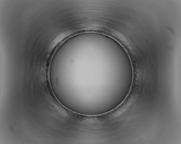 X0000112050978200908111346