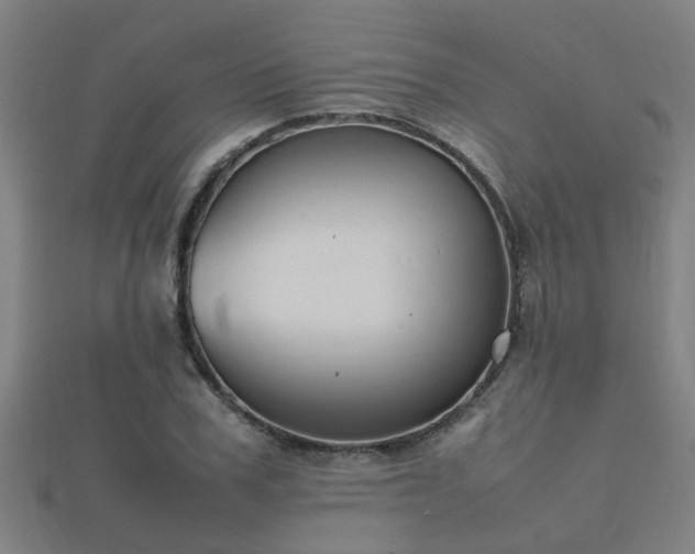 X0000112050979200908111346