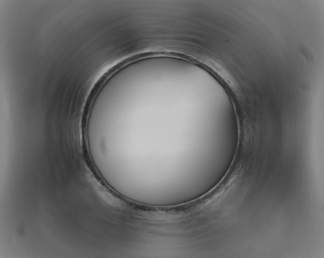 X0000112050980200908111346