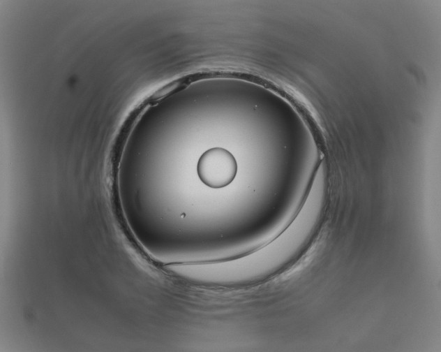 X0000112050981200908111346