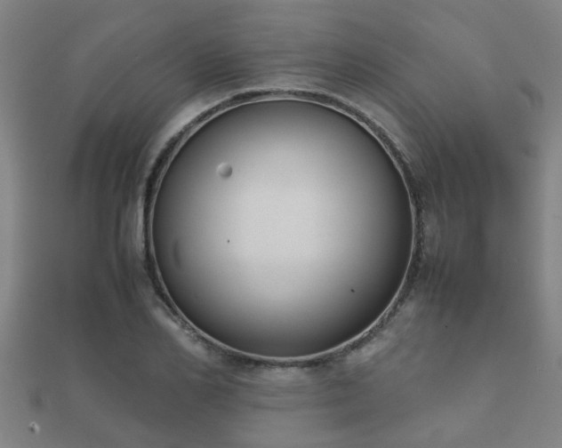 X0000112050982200908111346