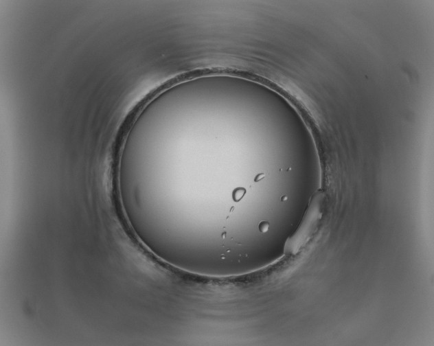 X0000112050983200908111346