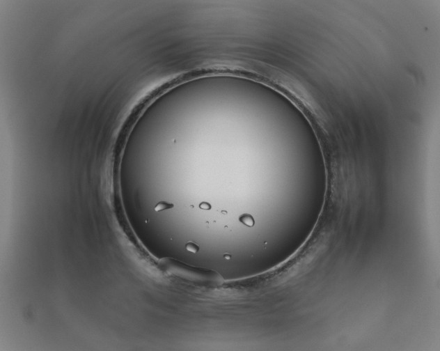 X0000112050984200908111346