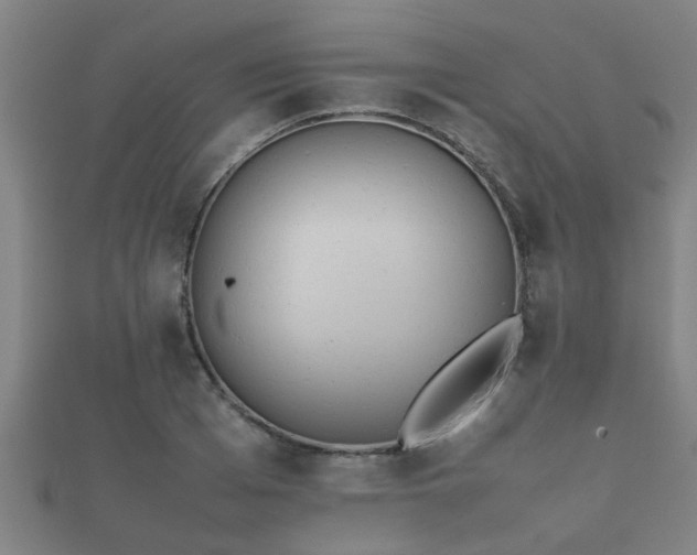 X0000112050985200908111346