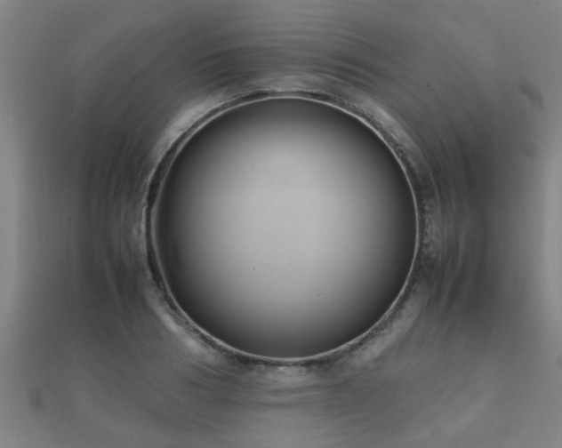 X0000112050986200908111346