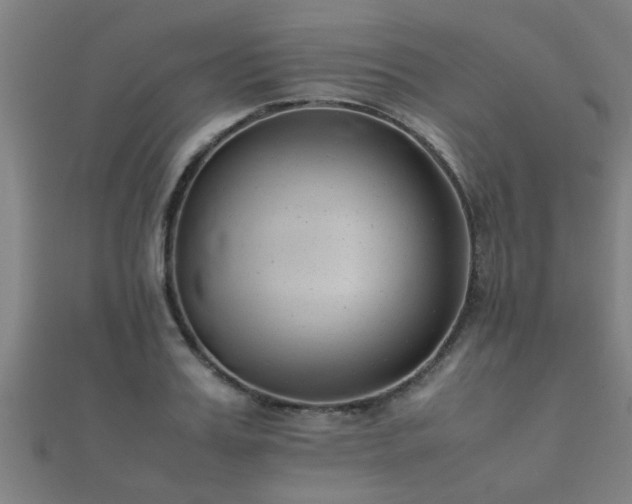 X0000112050987200908111346