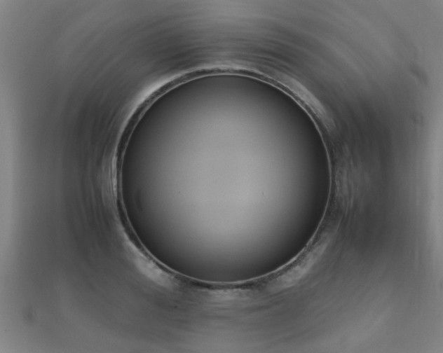 X0000112050988200908111346