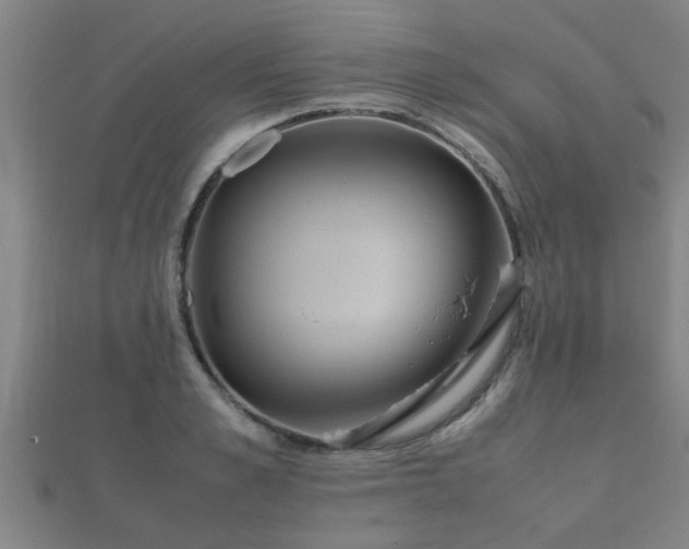 X0000112050989200908111346