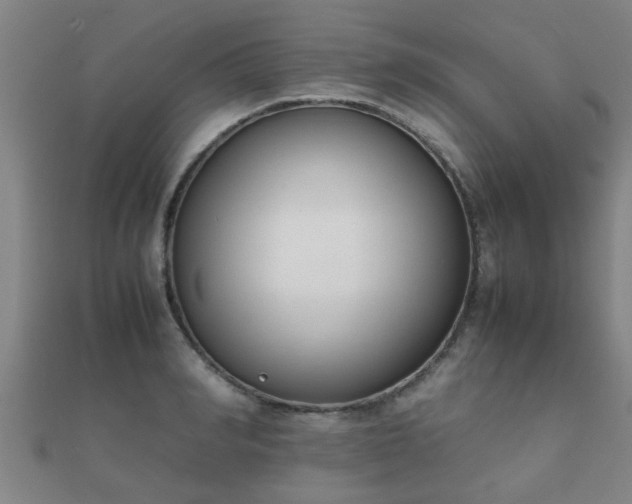 X0000112050990200908111346