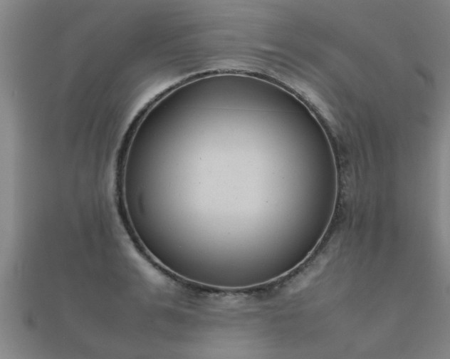 X0000112050991200908111346