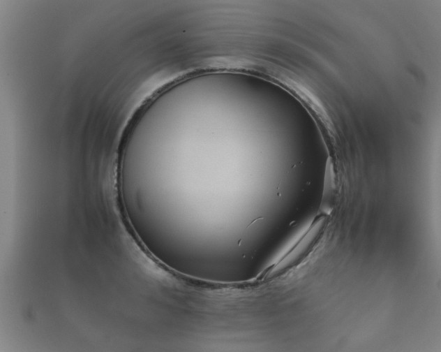 X0000112050992200908111346