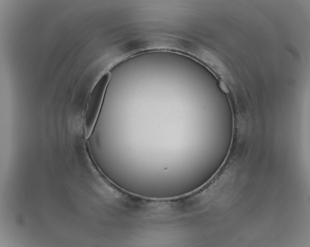 X0000112050993200908111346